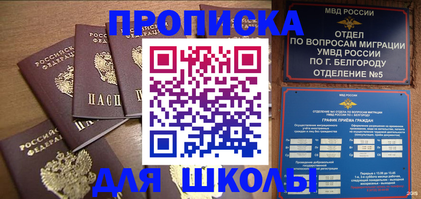 прописка гарантия в Ясном